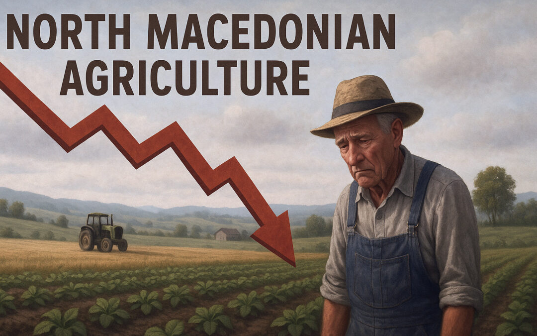 Agriculture fails: North Macedonia faces 30% drop by 2030