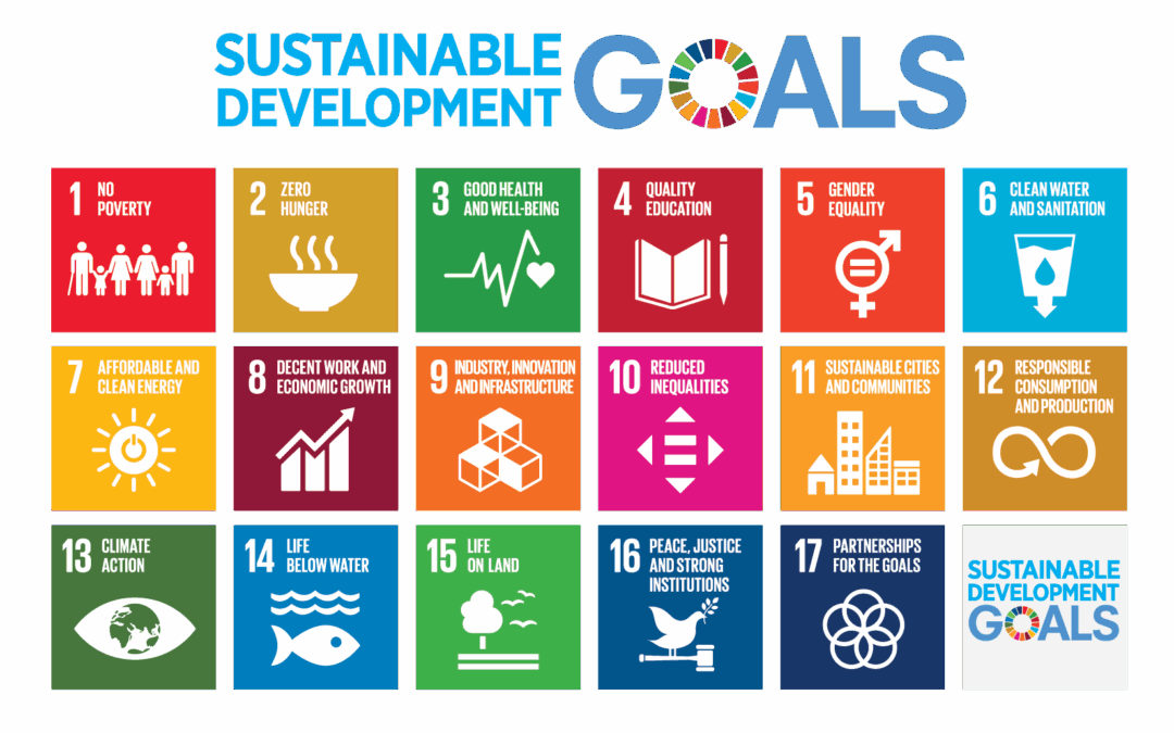 United Nations Sustainable Development Goals (SDGs)